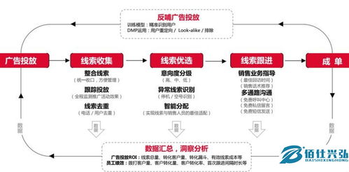 新澳2024年精准特马资料|真实数据解释落实_潮流版HS.8.301