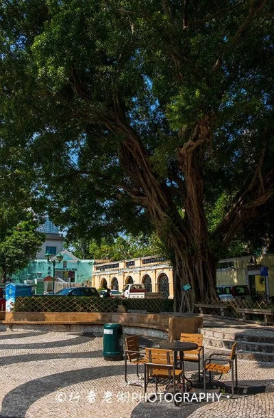 澳门水果奶奶免费资料|探索神秘古镇的魅力与风情_R.8.376