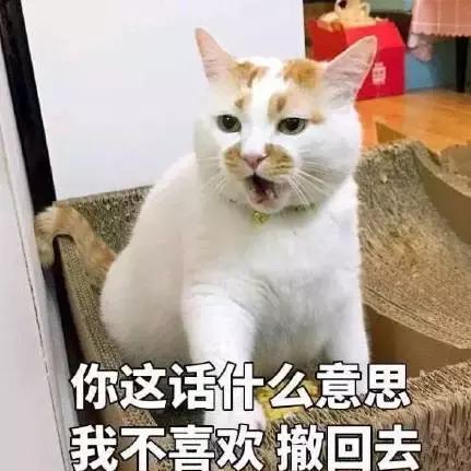 四不像今晚出什么生肖|探索城市新风尚与秘密角落_Z.2.421 四不像今晚出什么生肖|探索城市新风尚与秘密角落_Z.2.421