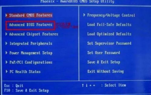 新澳门特马走式图片大全|广泛的解释落实支持计划_应用集.6.917