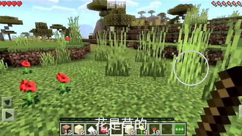 新澳门天天彩怎么算中奖了|动态分析解释落实_实况款.1.260