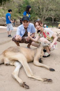 新澳2024四不像118期正版|诠释解析落实_VIP2.135 新澳2024四不像118期正版|诠释解析落实_VIP2.135