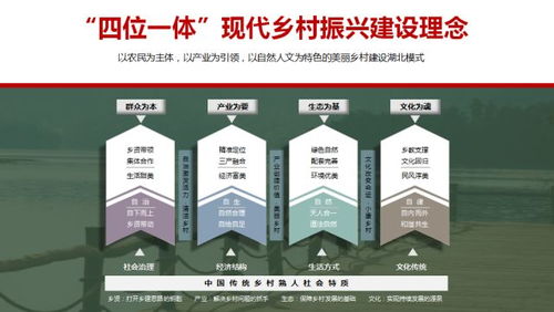 新奥彩精准免费资料查询|综合解答解释落实_小型集.6.641