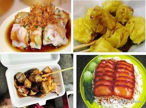 2024新澳正版免费资料大全一肖|探秘澳门美食文化之旅_投资版.0.857