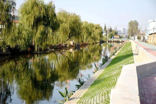 2024新澳门王中王正版|探索未来科技无限可能_长期品.3.711