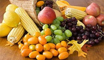 水果奶奶澳门论坛全新揭秘|前沿研究解释落实_经典款.8.561