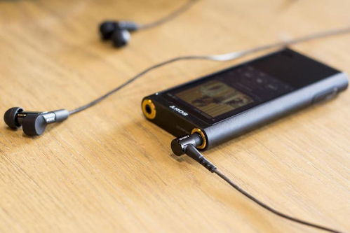 25049.0cm新奥彩40063|绝对经典解释落实_工具包.2.50